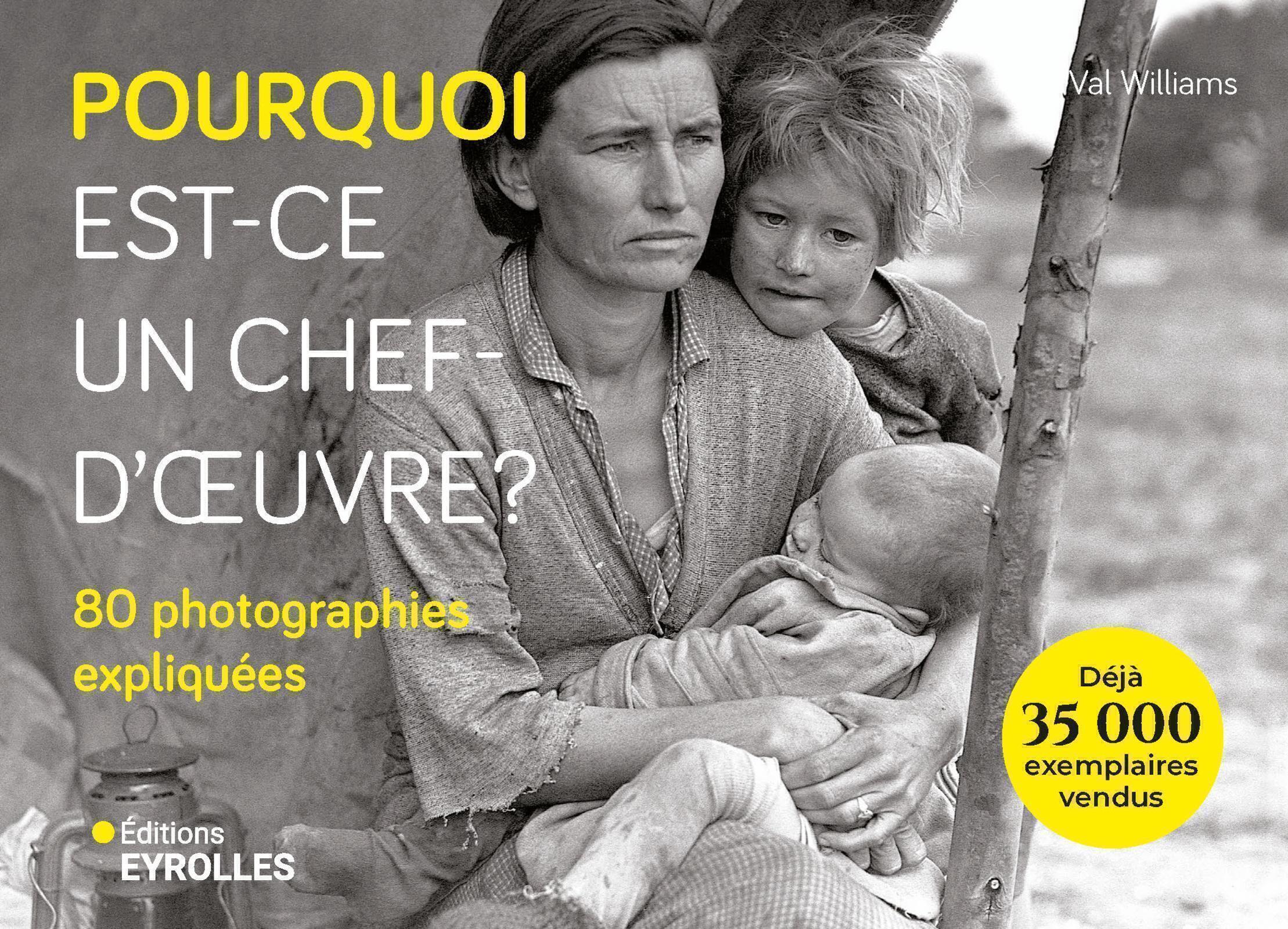 Visuel de <a href="https://www.editions-eyrolles.com/livre/pourquoi-est-ce-un-chef-d-oeuvre-3">Pourquoi est-ce un chef-d’œuvre ?</a> de <a href="https://www.editions-eyrolles.com/auteurs/val-williams">Val Williams</a>
